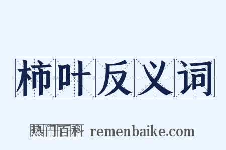 柿叶反义词是什么意思的图片